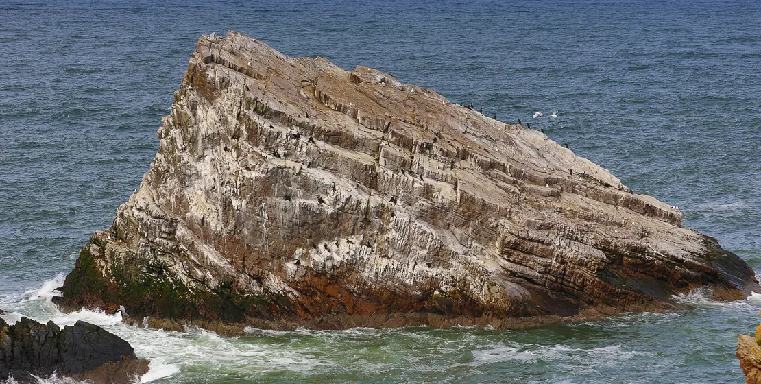 Bow Fiddle Rock