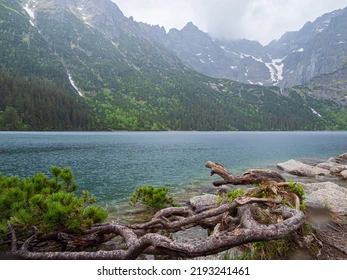 Tatra National Park