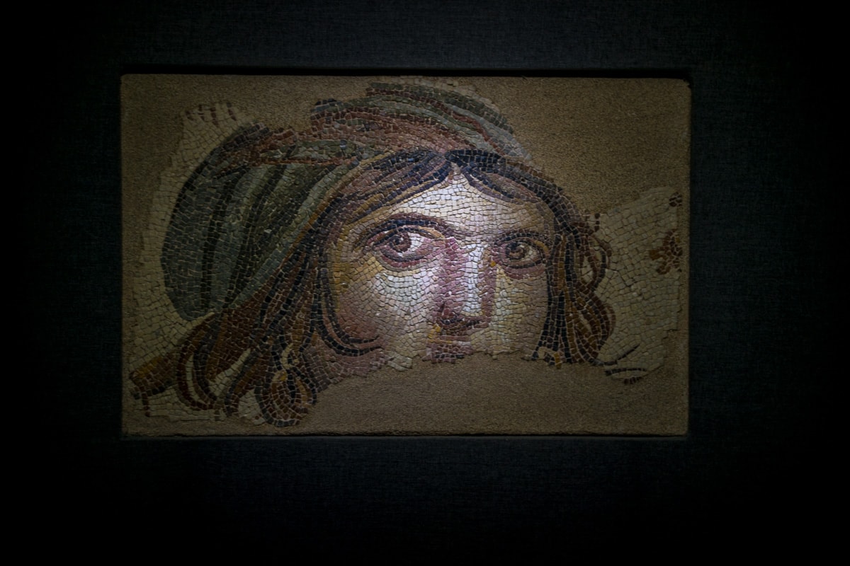 Gaziantep Zeugma Mosaic Museum